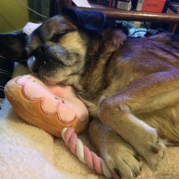 My name is actually Courtney; Francis is my dad. - Picture 5 of 6